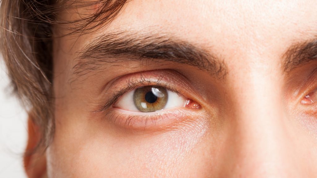 Men's eyebrows How to trim and shape bushy male eyebrows