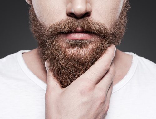 beard styles for men beard man to suit my face shape