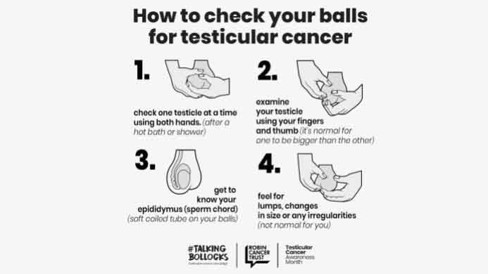 how to check for signs of testicular cancer and look for a lump on testicle