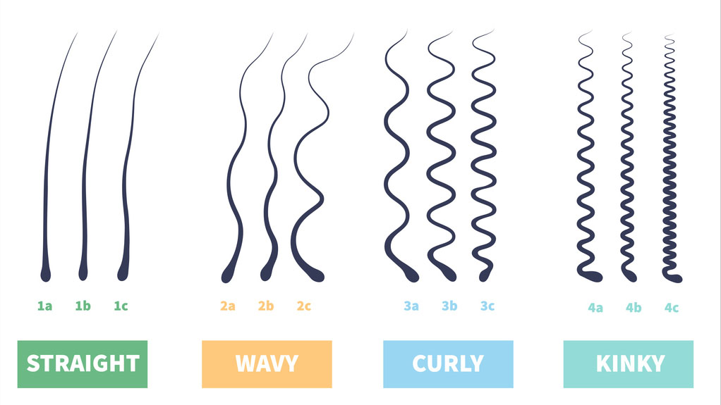 Hair types chart men